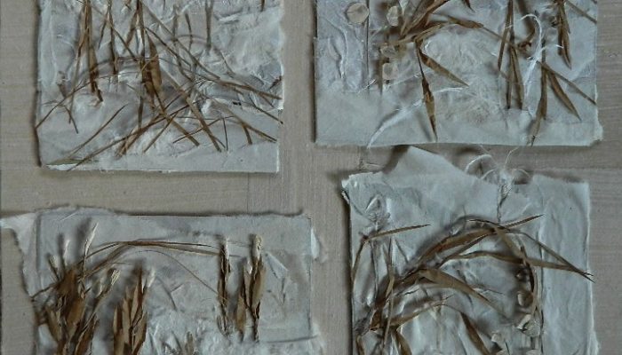 sleeping-in-the-snow-scenes-of-early-winter